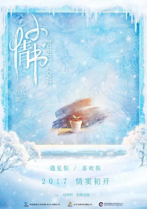 [2017年][内地]《小情书》[国语中字][MKV.HD1080P][百度盘]