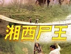 1993 香港电影《湘西尸王》：标清 791M DVD-MKV 版，计春华 王苏珊主演