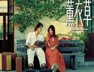 2000 香港经典《薰衣草》：金城武陈慧琳陈奕迅郑佩佩 粤语中字 MKV 2.22G