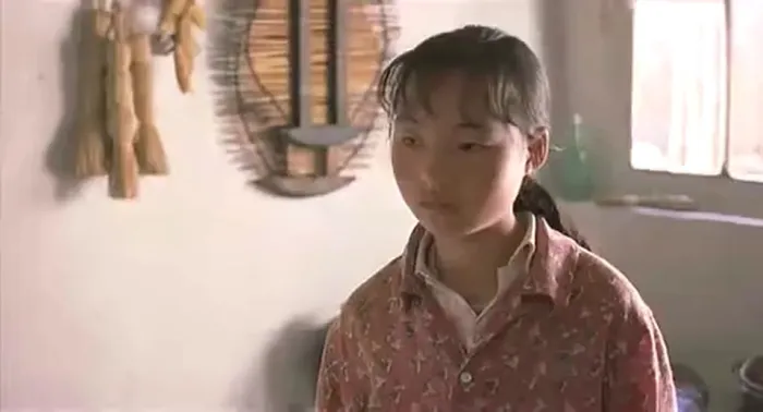 [1999][中国]《一个都不能少》 [魏敏芝][国语中字][FLV_230M]