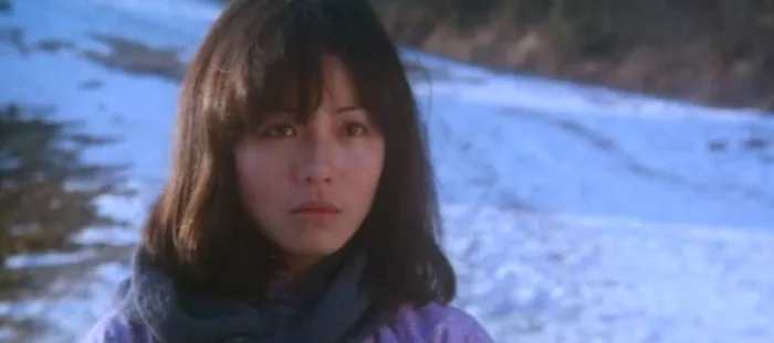 [1982][中国]《周润发系列之巡城马》[国语中字][DVDRip_MKV_696M]