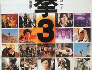 1994香港经典《醉拳3》：刘德华李嘉欣等众星云集 国粤中字MKV 2.11G-小文资源网