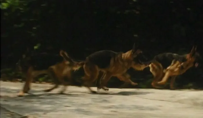 [1993][ 香港]《再世追魂》[恐怖][国语中字][DVDRip_MKV_1.44G]