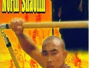 港台经典《北少林南跆拳》1984 国语无字 1.89G 资源-小文资源网