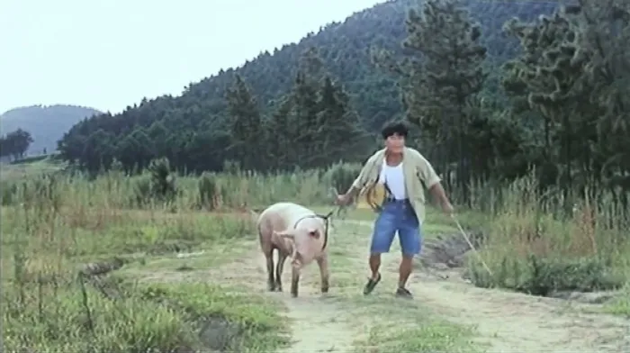 [1994][香港]《青蜂侠》[钱嘉乐 于荣光 林正英][国粤双语无字][MKV-1.12G]