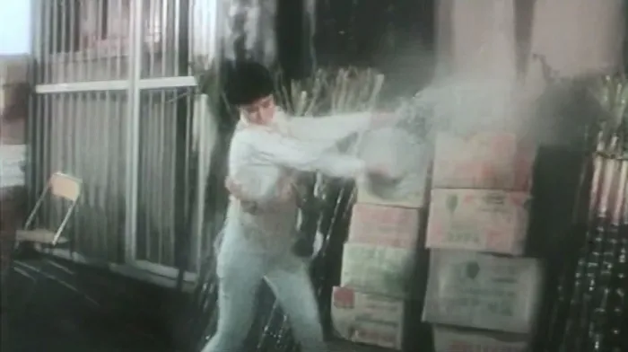 [1994][香港]《青蜂侠》[钱嘉乐 于荣光 林正英][国粤双语无字][MKV-1.12G]