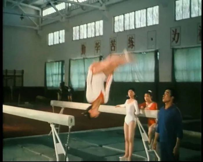 [1979][中国]《乳燕飞》[国语无字][1080p][1.93G_mp4]