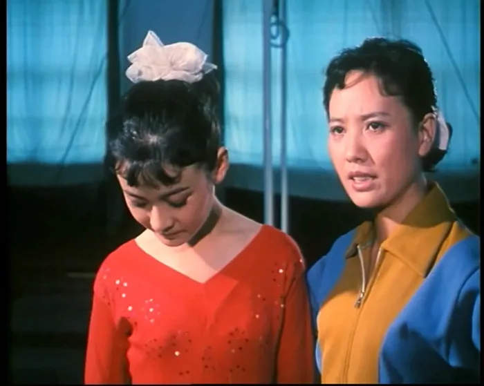 [1979][中国]《乳燕飞》[国语无字][1080p][1.93G_mp4]