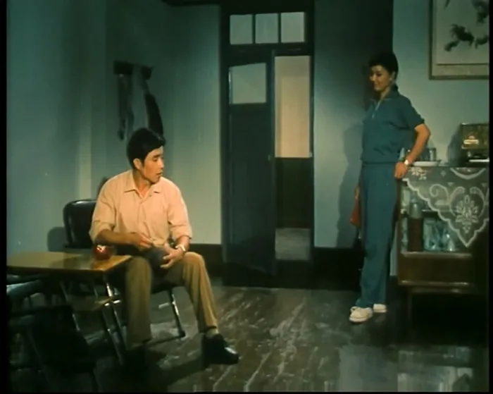 [1979][中国]《乳燕飞》[国语无字][1080p][1.93G_mp4]