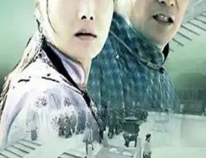 2005 中国大陆经典《皇城草医》 国语中字 4.93G 百度网盘资源