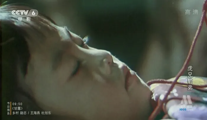 [1993 ][中国内地]《虎兄豹弟》(周里&常戎)][1集全][国语中字][Mkv_2.55G]