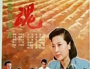 1991 中国大陆经典《国魂》国语中字 2.05GB 百度网盘资源
