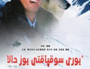 2007 中国大陆经典影片《风雪狼道》 国语中字 4.75GB 百度网盘资源