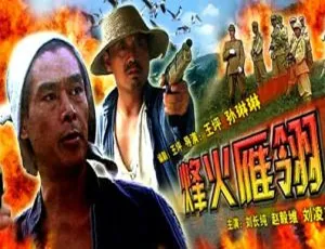 2005 中国大陆经典《烽火雁翎》国语中字 5.38GB 百度网盘资源