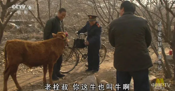 [2003][中国大陆]《法官老张轶事 审牛记》[国语中字][4.85GB][ 百度网盘]