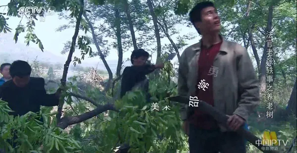 [2004][中国大陆]《法官老张轶事 养老树》[国语中字][5.19GB][ 百度网盘]