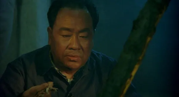 [1994][中国大陆]《大漠歼匪》[国语中字][1.13GB][ 百度网盘]