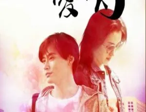 2015 中国大陆《橙味爱情》国语中字 4.90GB 百度网盘资源