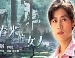 2004 中国大陆经典《舂米的女人》国语中字 4.89GB 百度网盘资源