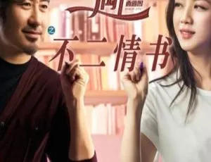2016 中国大陆高分电影《北京遇上西雅图之不二情书》6.94GB 国语中字 百度网盘资源