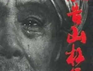 1994 中国大陆经典《被告山杠爷》国语中字 1.38GB 百度网盘资源