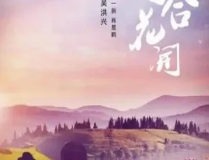 2011 中国大陆《百合花开》国语中字 5.13GB 百度网盘资源