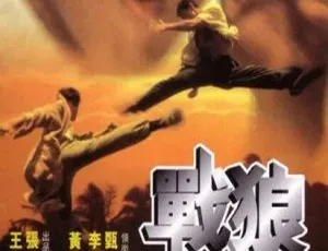 1997 中国大陆经典《战狼传说半把刀》国语中字 2.23GB 百度网盘资源