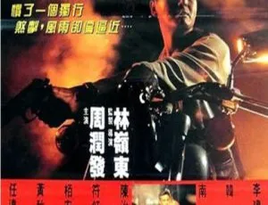 1992 中国大陆经典《侠盗高飞》国语中字 1.52GB 百度网盘资源