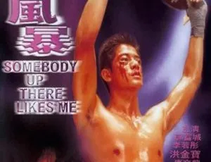 1996 中国大陆经典《浪漫风暴》国语中字 2.12GB 百度网盘资源