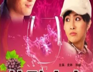 2010 中国大陆佳酿之恋 国语中字 5.08GB 百度网盘资源