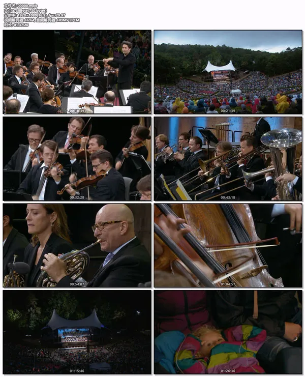 [BD欧美演唱会][Waldbuehne 2017 – Legends of the Rhine (Gustavo Dudamel) 2017][BDMV][20.5GB][百度网盘]