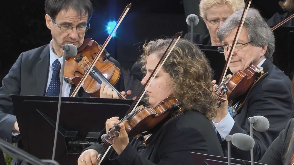 [BD欧美演唱会][Waldbuehne 2021 – American Rhythms (Wayne Marshall) 2021][BDMV][18.1GB][百度网盘]