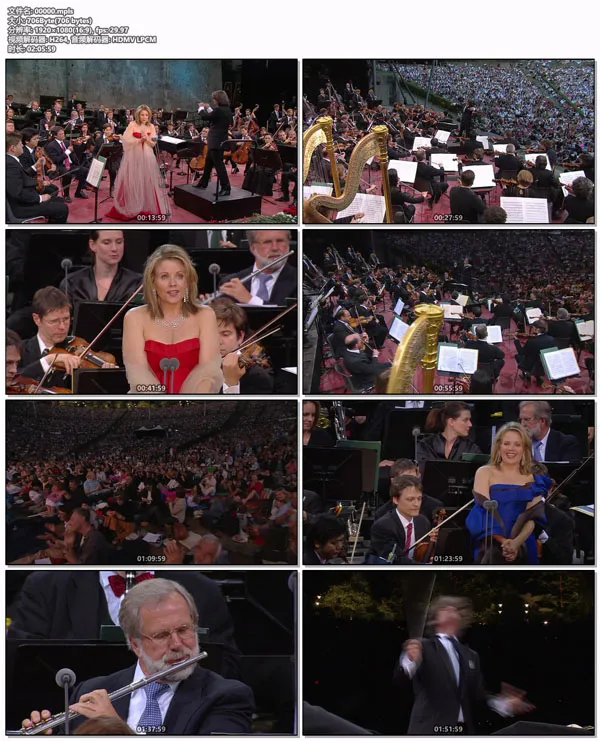 [BD欧美演唱会][Waldbuehne 2010 – An evening with Renee Fleming (Ion Marin, Renee Fleming) 2010][BDMV][20.2GB][百度网盘]