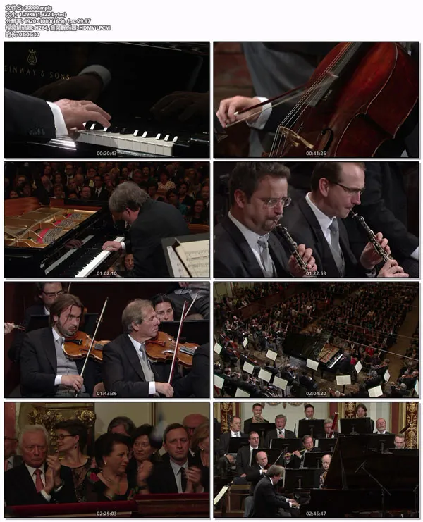 [BD欧美演唱会][Beethoven – The Piano Concertos Nos. 1-5 – Rudolf Buchbinder, Wiener Philharmoniker (2011)][Blu-ray 1080i AVC DTS-HD 5.0][BDMV][42.2GB][百度网盘]