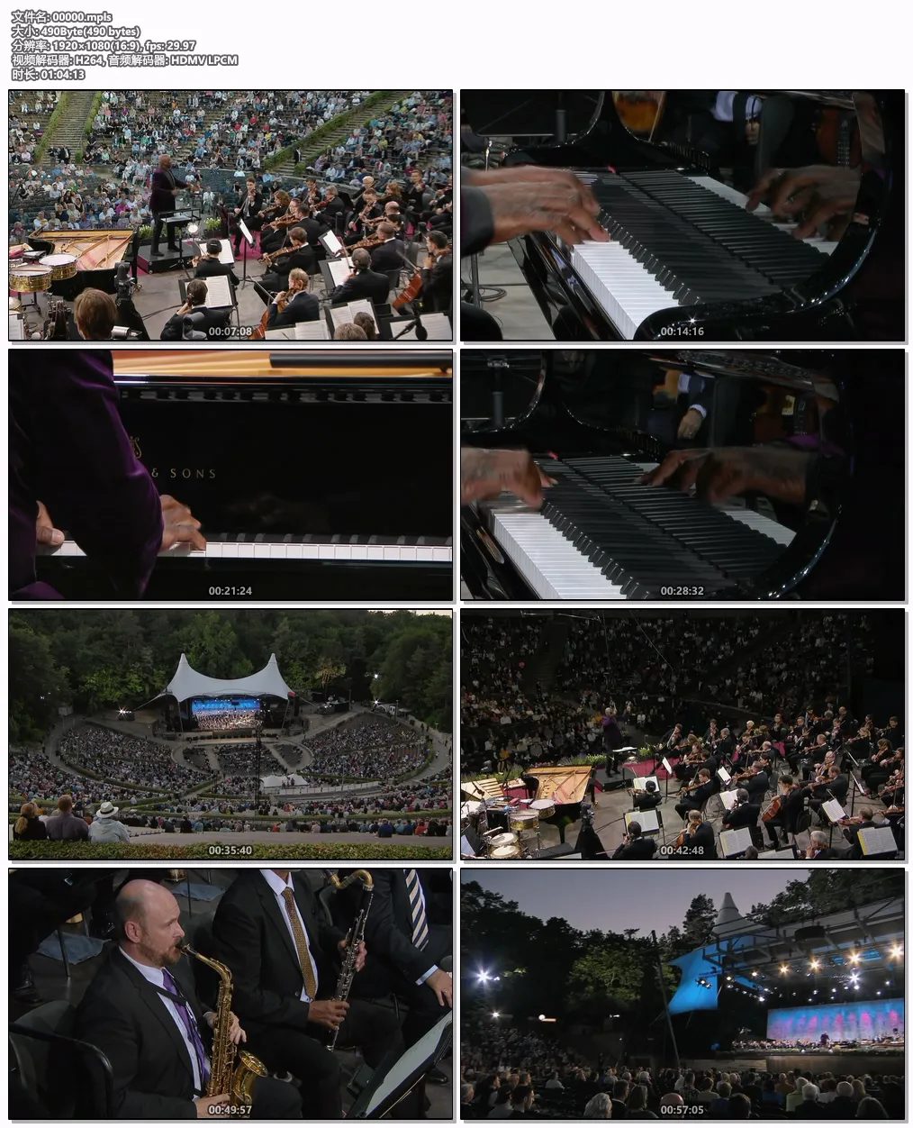 [BD欧美演唱会][Waldbuehne 2021 – American Rhythms (Wayne Marshall) 2021][BDMV][18.1GB][百度网盘]