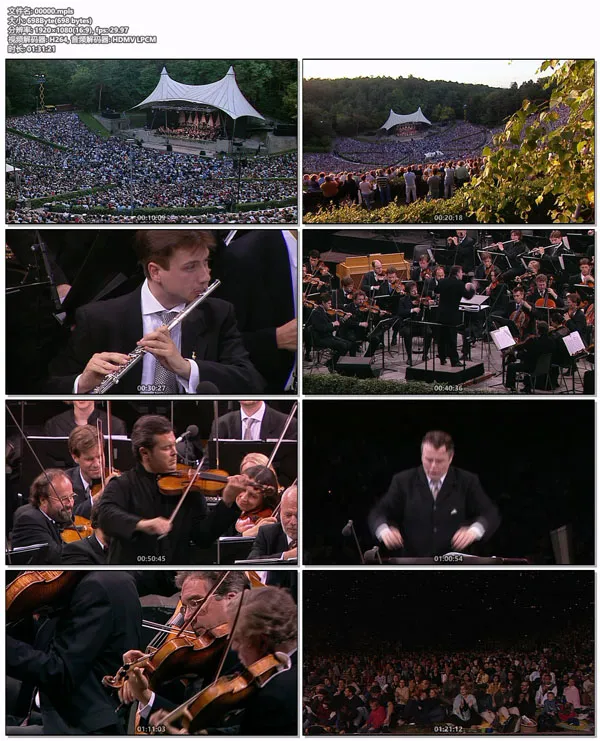 [BD欧美演唱会][Waldbuehne 2002 – World Encores (Mariss Jansons, Vadim Repin) 2002][BDMV][20.4GB][百度网盘]