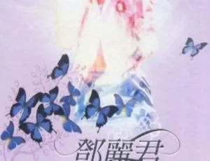 邓丽君台湾演唱会 5DVD 精装影音组 36.59GB 资源-小文资源网