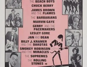 BD欧美演唱会：1964年塔米秀 The T.A.M.I. Show（2016） 36.1GB百度网盘资源-小文资源网