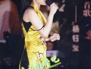 杨钰莹2002北京演唱会DVD大陆版 3.93G 百度网盘资源-小文资源网