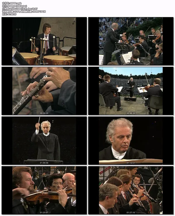 [BD欧美演唱会][Waldbuehne – 1998 A Latin American Night (Daniel Barenboim, John Williams) 1998][BDMV][21.9GB][百度网盘]