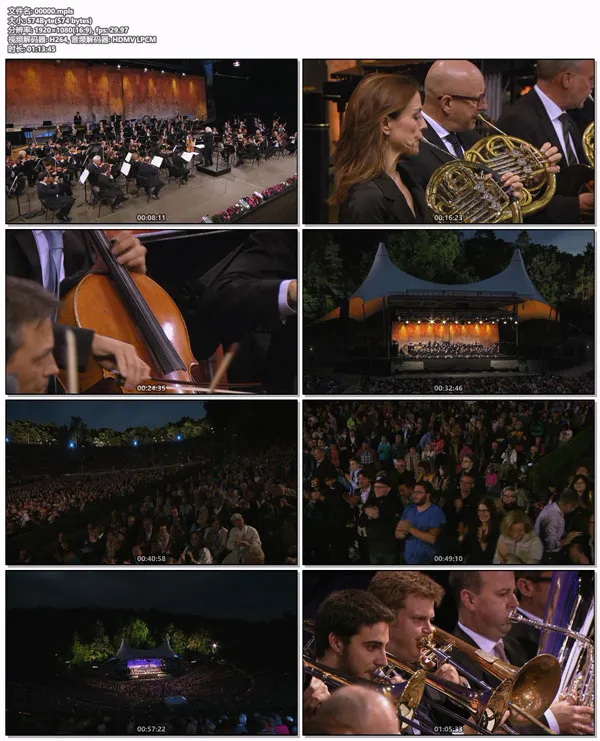 [BD欧美演唱会][Waldbuehne 2015 – Lights, Camera, Action! (Sir Simon Rattle) 2015][BDMV][16.4GB][百度网盘]