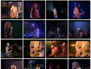 范海伦Van Halen 1992经典演唱会：Right Here Right Now [DVD欧美场 7.08GB 百度网盘]-小文资源网