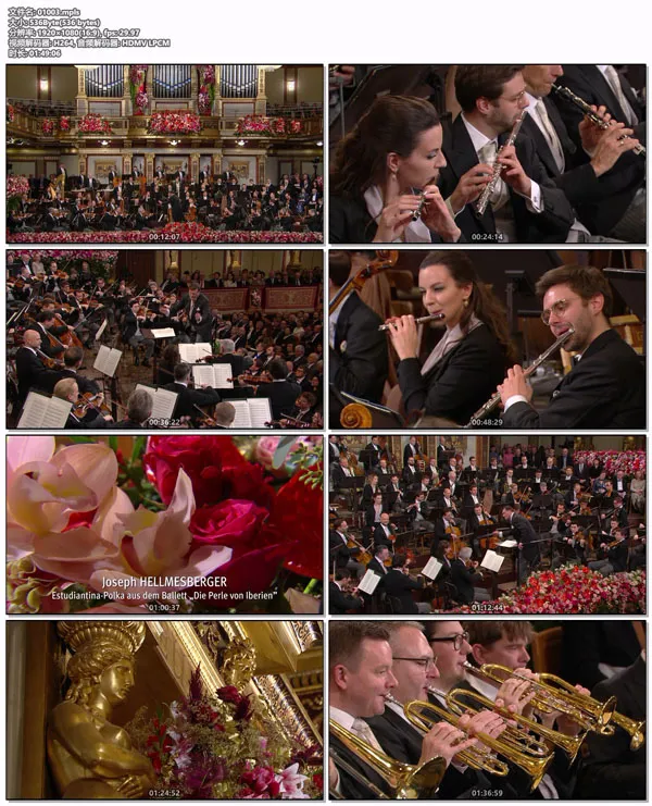 [BD欧美演唱会][2024年维也纳新年音乐会 Vienna Philharmonic New Year s Concert 2024][BDMV][34.3GB][百度网盘]