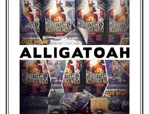 BD 欧美演唱会：阿里加托亚 Alligatoah 2016 现场音乐盛宴 19GB 百度网盘资源-小文资源网