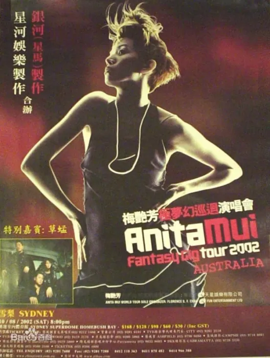 [DVD香港演唱会][梅艳芳 – 2002极梦幻香港演唱会][2DVD_ISO][13.29G][百度网盘]