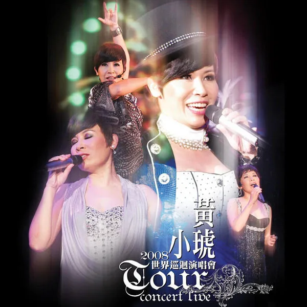 [DVD香港演唱会][黄小琥 – 2008世界巡回演唱会][DVD_ISO][7.8G][百度网盘]