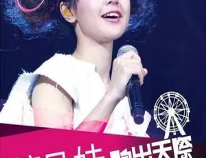 糖兄妹香港演唱会：跑出天际游乐园 2DVD 双角度卡拉 OK 珍藏-小文资源网