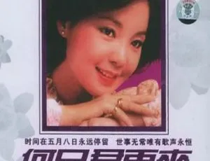 邓丽君台湾演唱会珍贵影像：何日君再来 10 年祭 DVD-ISO 镜像 7.8GB 百度网盘分享-小文资源网