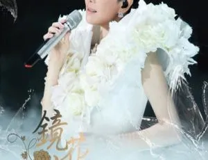 江惠2013镜花水月台湾演唱会 DVD 高清资源 7.19G 百度网盘分享-小文资源网