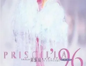 陈慧娴1996香港雪映美白演唱会DVD 4.01G 百度网盘资源-小文资源网